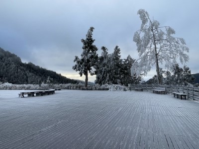 太平山國家森林遊樂區  一片霧淞雪白美景3